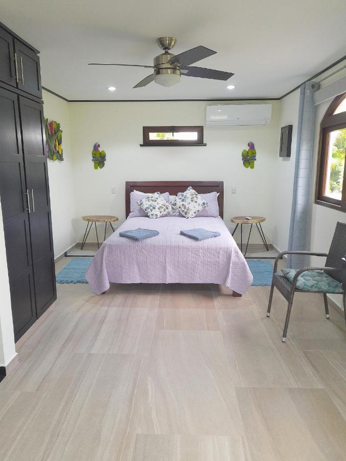 Top Rated - Lake View Arenal Suite - 2025 Traveller Awards Winner Tronadora Exterior photo