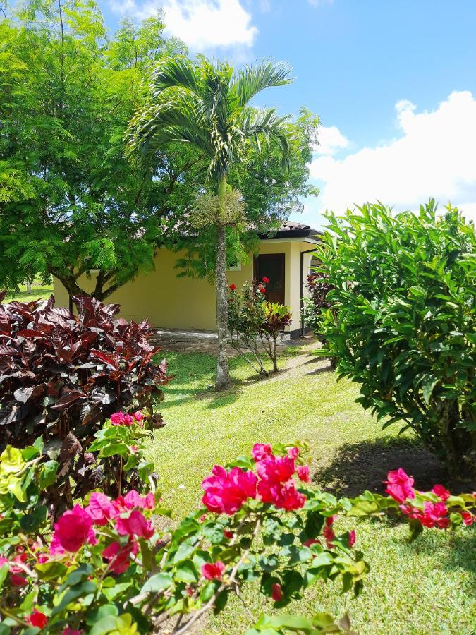 Top Rated - Lake View Arenal Suite - 2025 Traveller Awards Winner Tronadora Exterior photo